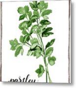 Watercolor Herbs Ii #1 Metal Print