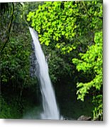 Waterfall In A Tropical Rainforest #1 Metal Print