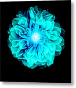 X-ray Like Image Of A Flower #1 Metal Print