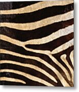 Zebra Hide #1 Metal Print