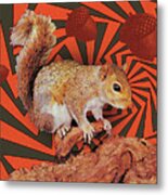 Squirrel #13 Metal Poster