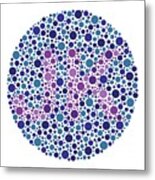 Colour Blindness Test Chart #132 Metal Print