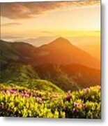 Rhododendron Flowers Covered Mountains #14 Metal Print