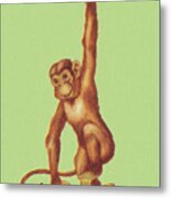 Monkey #17 Metal Print