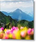 Rhododendron Flowers Covered Mountains #18 Metal Print