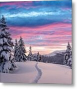 Fantastic Winter Landscape In Snowy #19 Metal Print