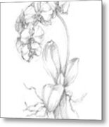 Botanical Sketch V #2 Metal Print