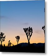 California, Joshua Tree National Park #2 Metal Print