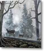 Deer Path I #2 Metal Print