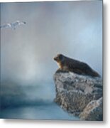 On The Rocks #2 Metal Print