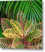 Palm Fronds And Croton Plants #2 Metal Print