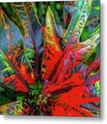 Plants And Leaves Hawaii Metal Print
