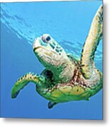 Sea Turtle #2 Metal Print