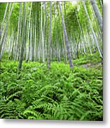 Bamboo Forest #3 Metal Print