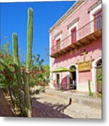 Mexico, Baja California Sur, La Paz #3 Metal Print