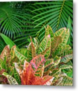 Palm Fronds And Croton Plants #3 Metal Print