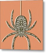 Spider #3 Metal Print