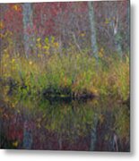 Usa, New Jersey, Wharton State Forest #3 Metal Print