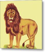 Lion #30 Metal Poster