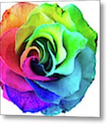 Closeup Of A Rainbow Colored Rose In Full Bloom #4 Metal Print