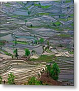 Terraced Rice Paddy Fields, Yuanyang #4 Metal Print