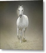 White Horse Galloping #4 Metal Print