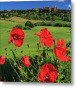 Italy, Tuscany, Orcia Valley #5 Metal Print