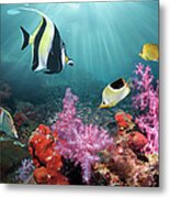 Coral Reef Scenery #58 Metal Print