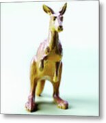 Kangaroo #7 Metal Print