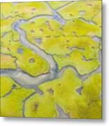Salt Marshes And Estuaries Are Found #7 Metal Print