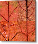 Swatches - Autumn Leaves Inspired By Gerhard Richter #8 Metal Print