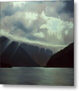 75 Metal Print