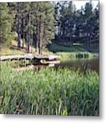 Custer State Park South Dakota  #7 Metal Print