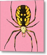 Spider #8 Metal Poster