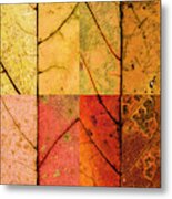 Swatches - Autumn Leaves Inspired By Gerhard Richter #10 Metal Print