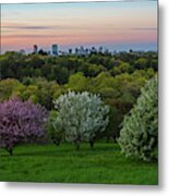 A Boston Spring Sunset From The Arnold Arboretum Jamaica Plain Boston Skyline Metal Print
