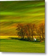 A Colorful Day Metal Print