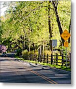 A Country Lane On A Springtime Afternoon Metal Print