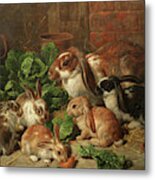 A Family Of Rabbits Metal Print