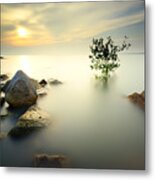 A Lone Tree Partially Submerged Metal Print