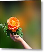A Lovely Orange Rose At The United States Botanical Garden Metal Print