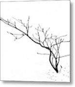 A Naked Twig In The Snow Metal Print