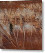 A Pine Tree On The Steep Cliff Metal Print