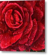 A Rose For My Love Metal Print