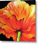 A Single Poppy Metal Print