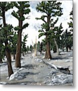 A Stony Forest Metal Print