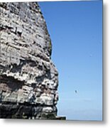A Tall Rock Face On The Waters Edge Metal Print