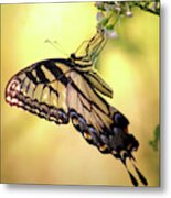 A Tiger By His Tail Metal Print