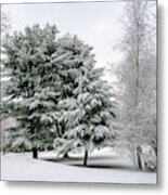 A Touch Of Winter Metal Print