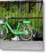 A Welcome Splash Of Lime On A Wet And Windy Day Metal Print